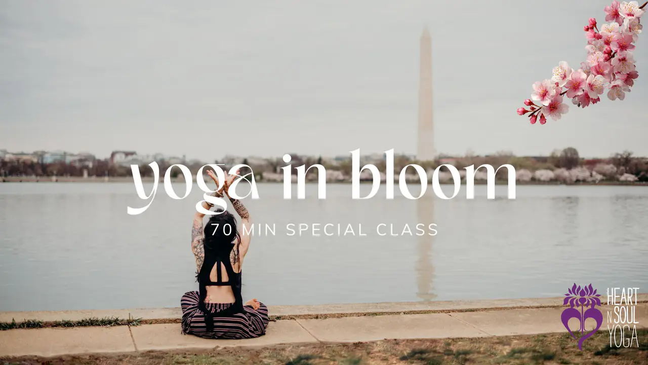 🌷🌸 Yoga In Bloom - Sunday Funday Vinyasa Flow 2024