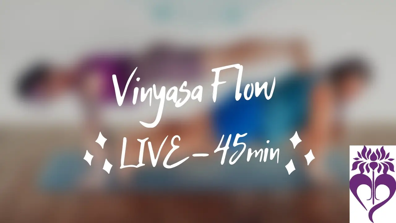 Kids Yoga & Mindfulness (with Laura)