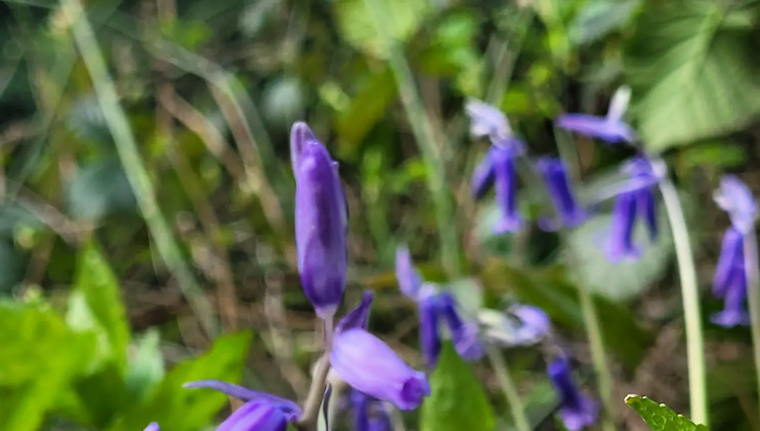Spring has Sprung!