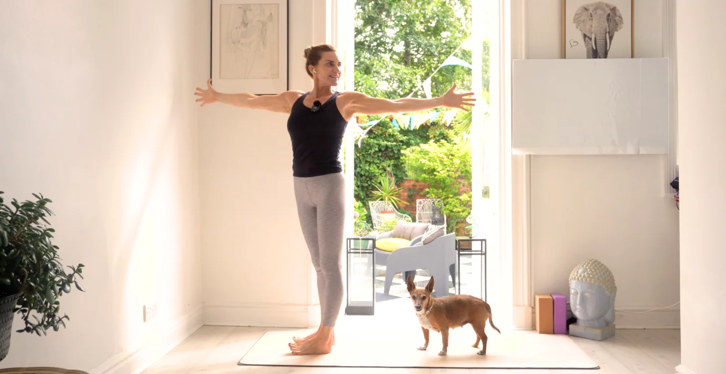 Live Flow Yoga