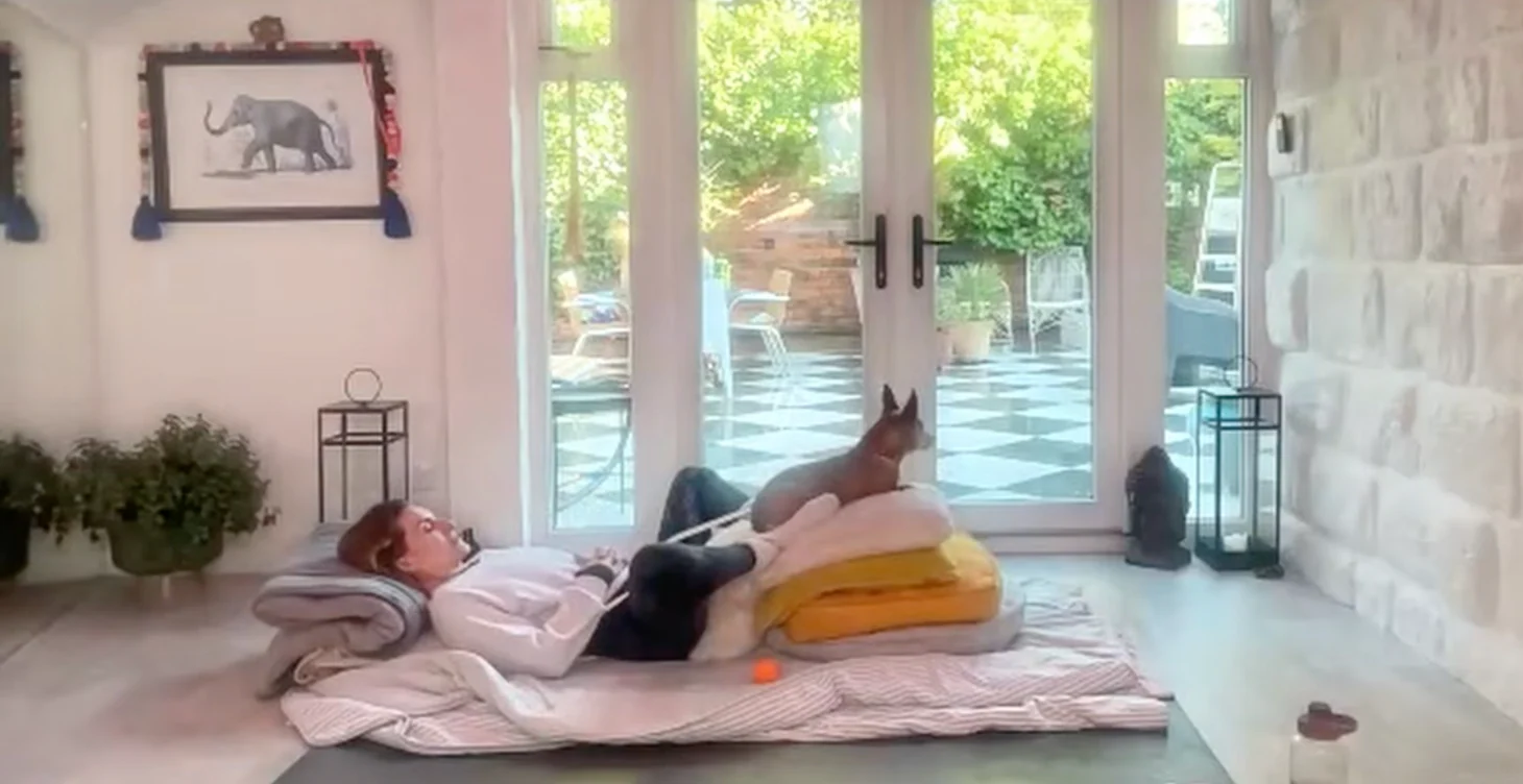 Live Rest & Destress | Somatic