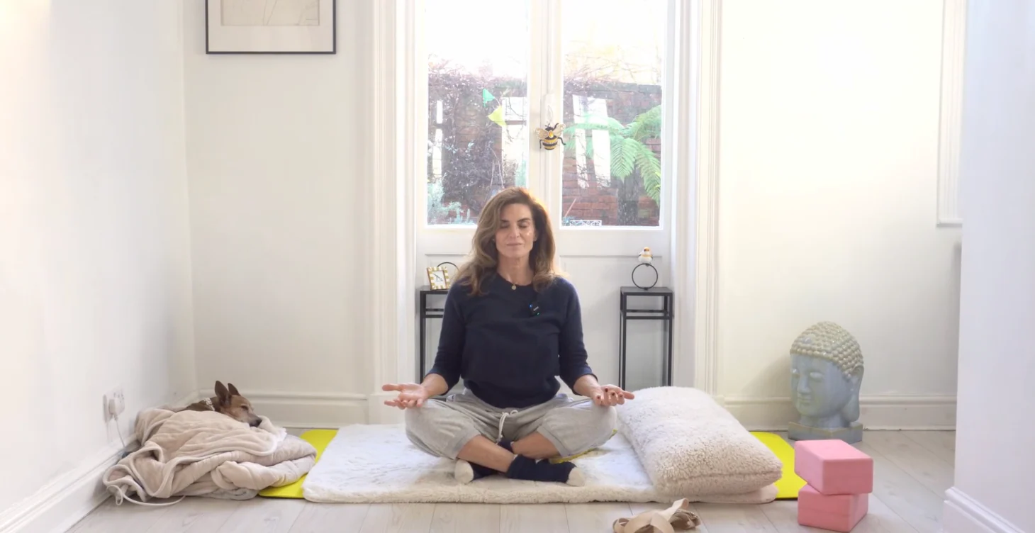 Smooth Mobility Flow(Recorded)