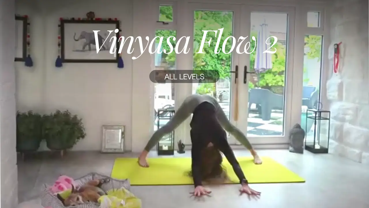 58 Min Vinyasa Flow