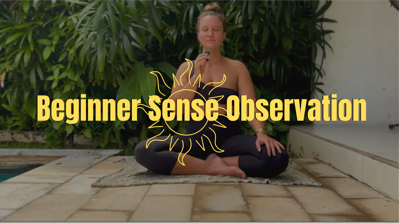 Beginner Sense Observation Meditation
